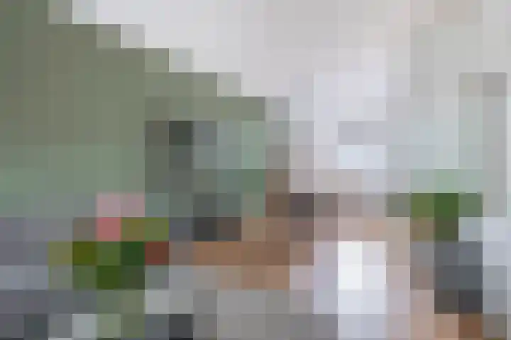 Roostenlaan 163 Eindhoven thumbnail 13