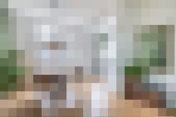 Roostenlaan 163 Eindhoven thumbnail 15