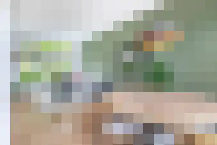 Roostenlaan 163 Eindhoven thumbnail 16