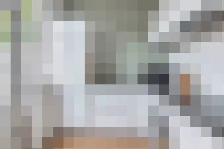 Roostenlaan 163 Eindhoven thumbnail 18