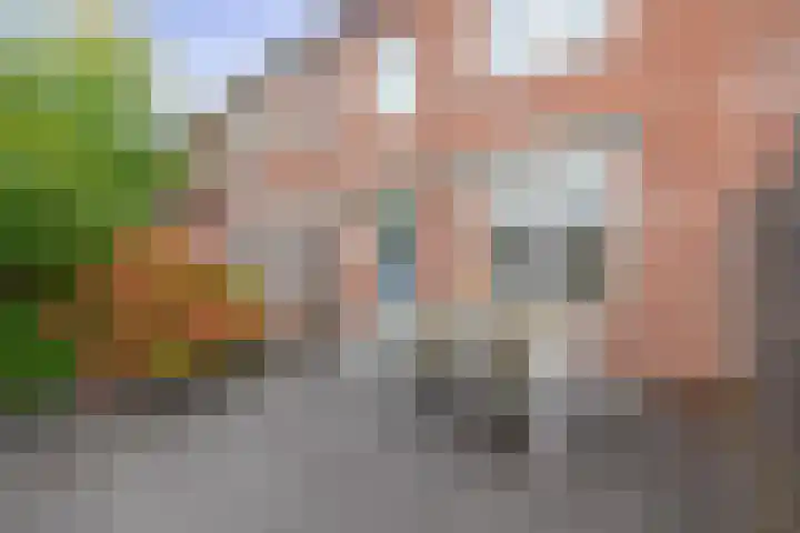 Roostenlaan 163 Eindhoven thumbnail 30