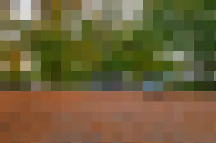 Roostenlaan 163 Eindhoven thumbnail 36