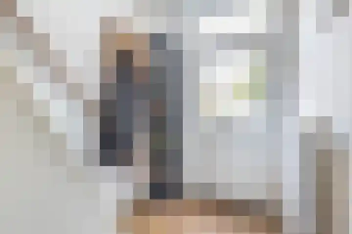 Roostenlaan 163 Eindhoven thumbnail 8