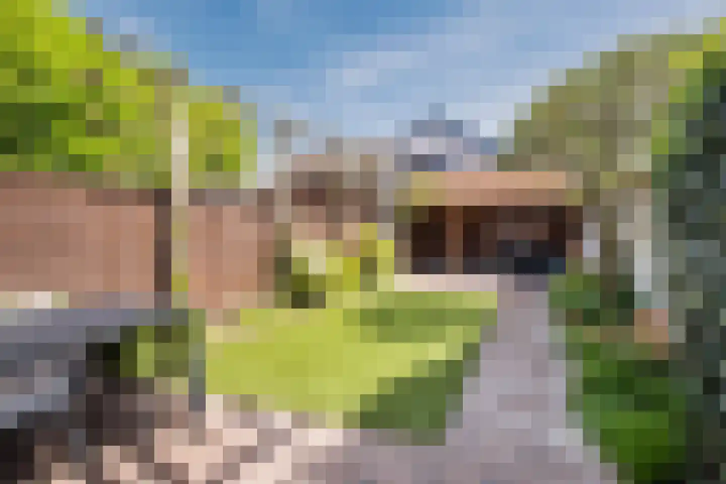 Roostenlaan 41 Eindhoven thumbnail 29