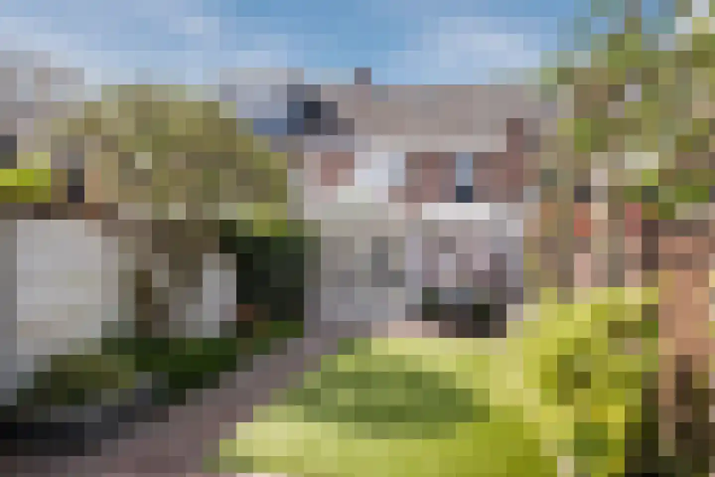 Roostenlaan 41 Eindhoven thumbnail 32