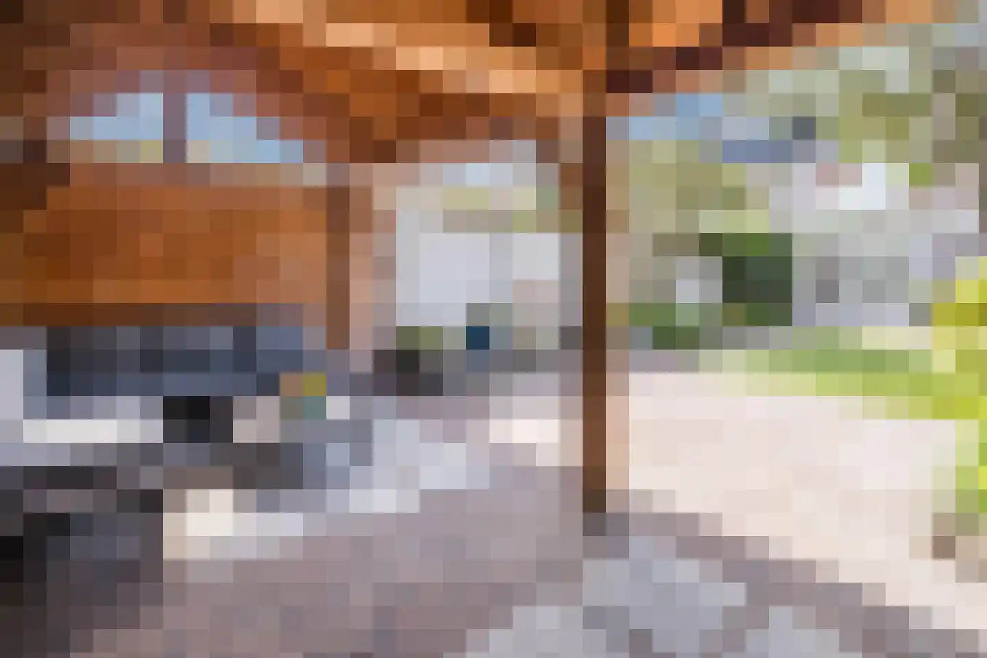 Roostenlaan 41 Eindhoven thumbnail 34