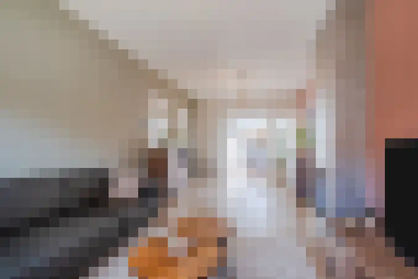 Roostenlaan 41 Eindhoven thumbnail 9