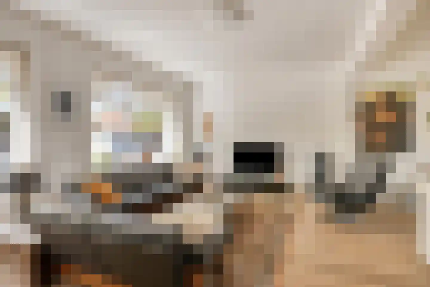 Roostenlaan 61 Eindhoven thumbnail 10