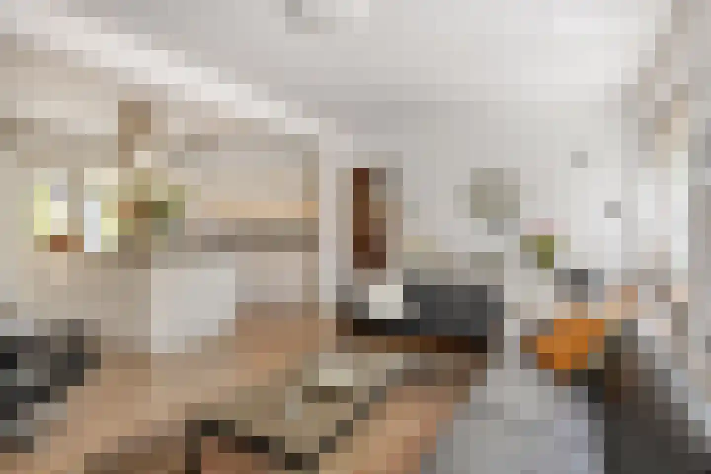 Roostenlaan 61 Eindhoven thumbnail 11
