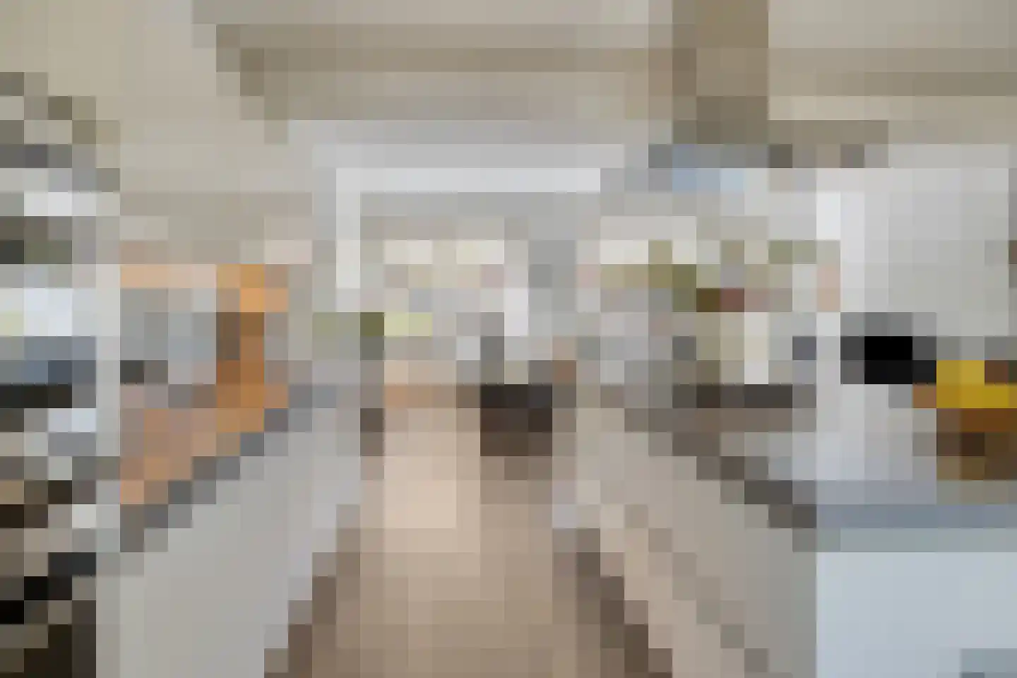 Roostenlaan 61 Eindhoven thumbnail 16