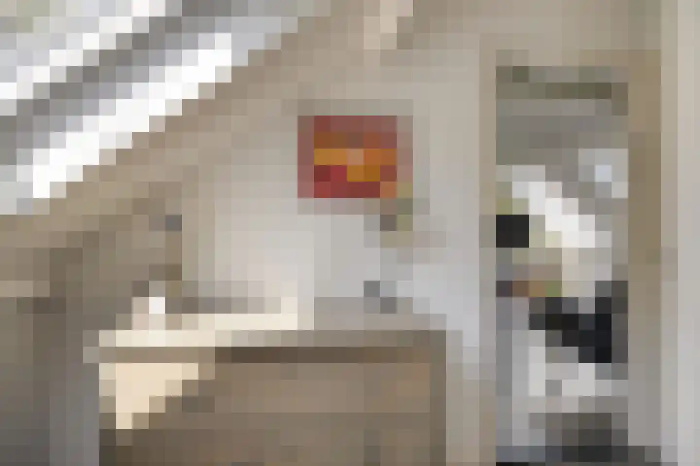 Roostenlaan 61 Eindhoven thumbnail 29