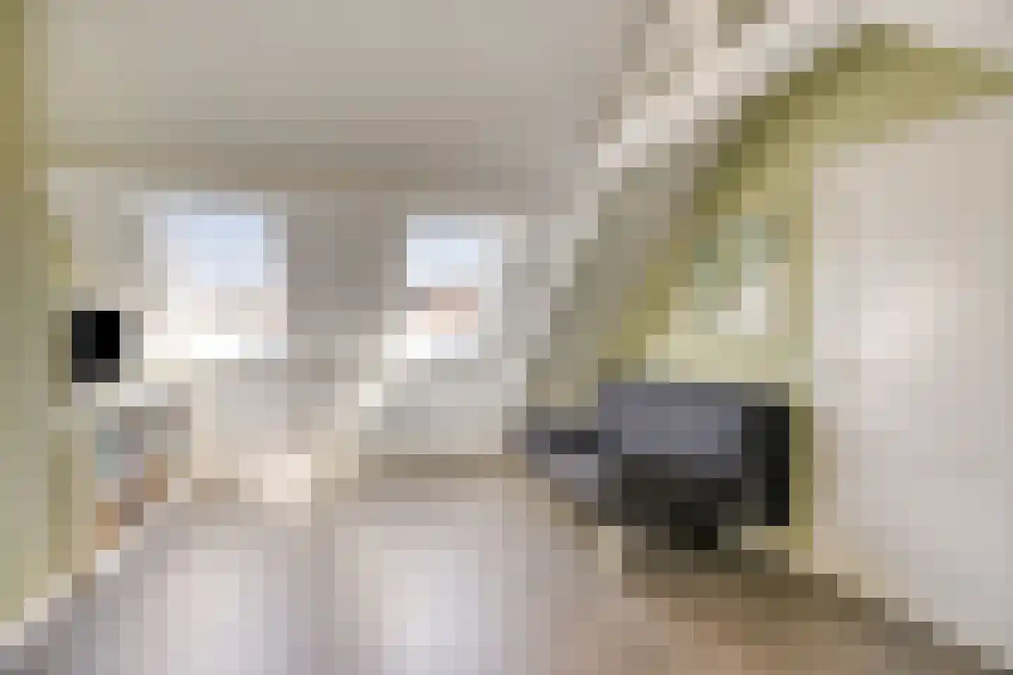Roostenlaan 61 Eindhoven thumbnail 30