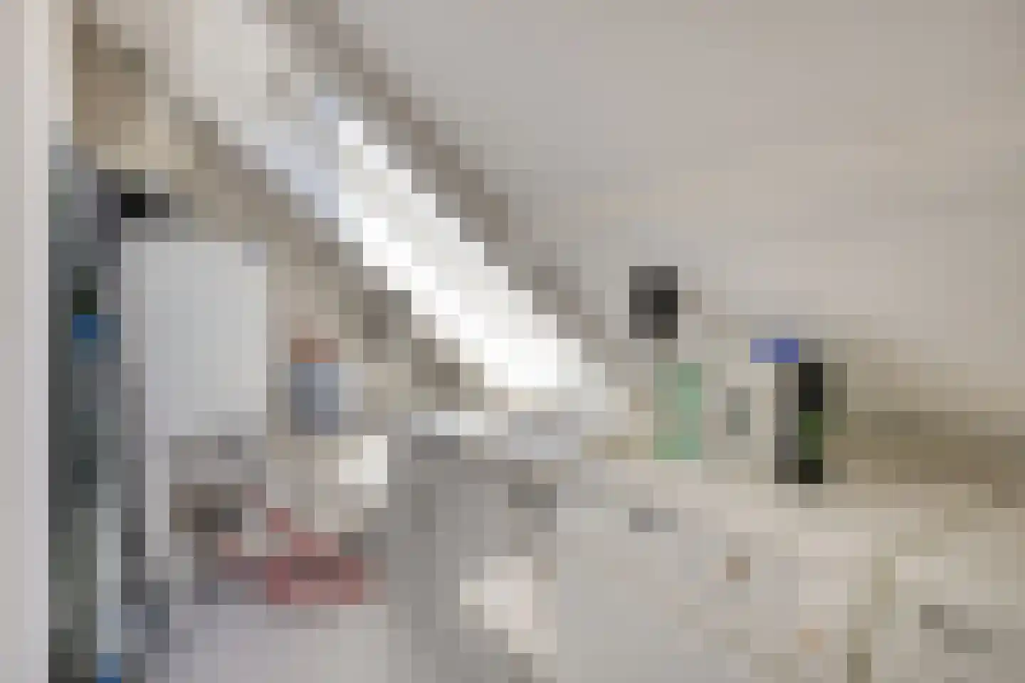 Roostenlaan 61 Eindhoven thumbnail 39