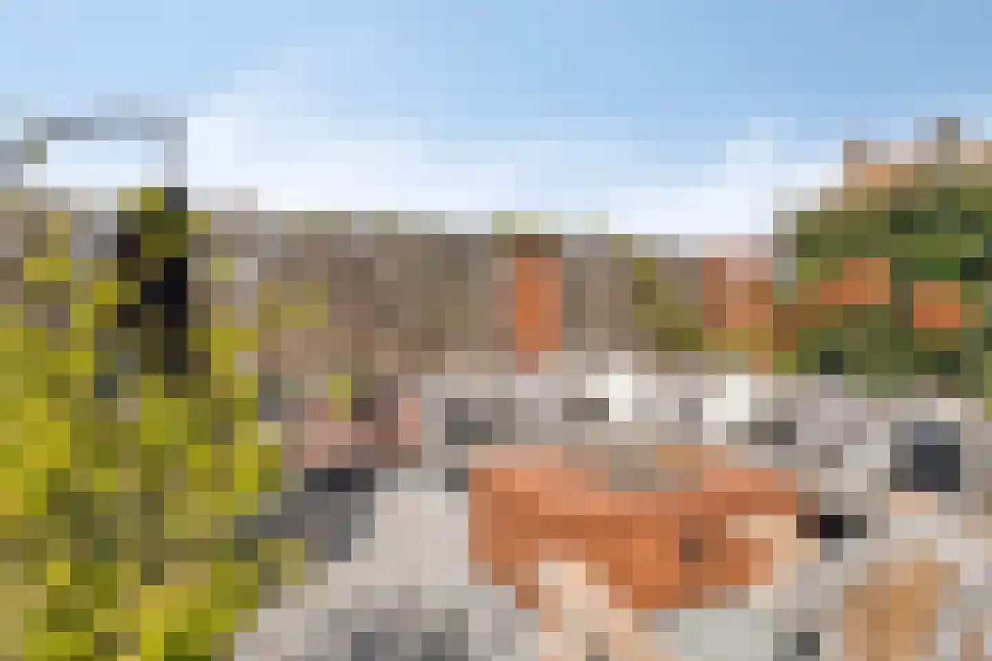Roostenlaan 61 Eindhoven thumbnail 43