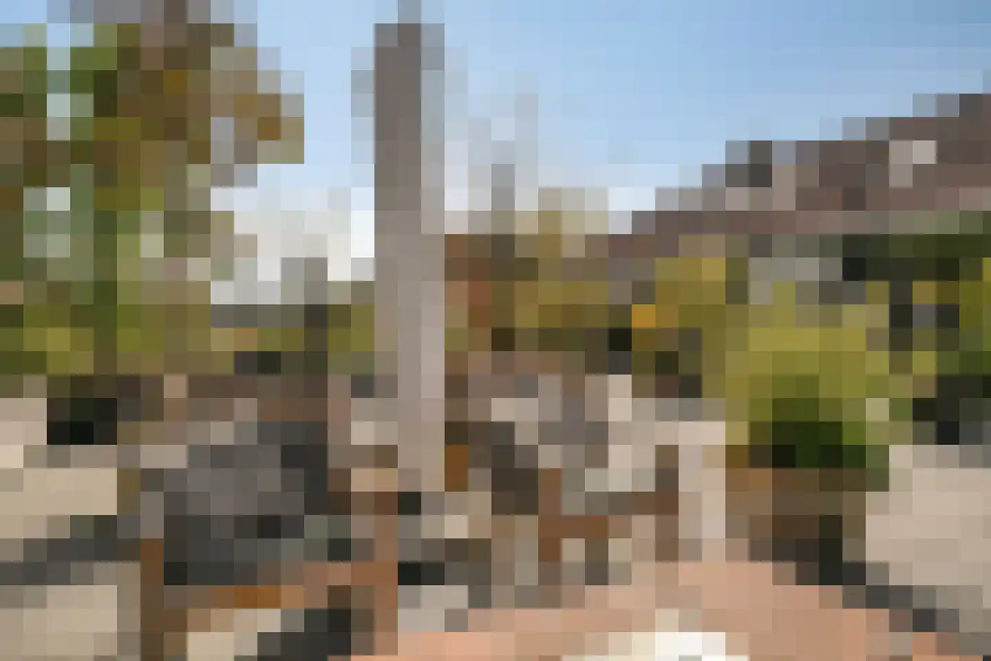 Roostenlaan 61 Eindhoven thumbnail 45