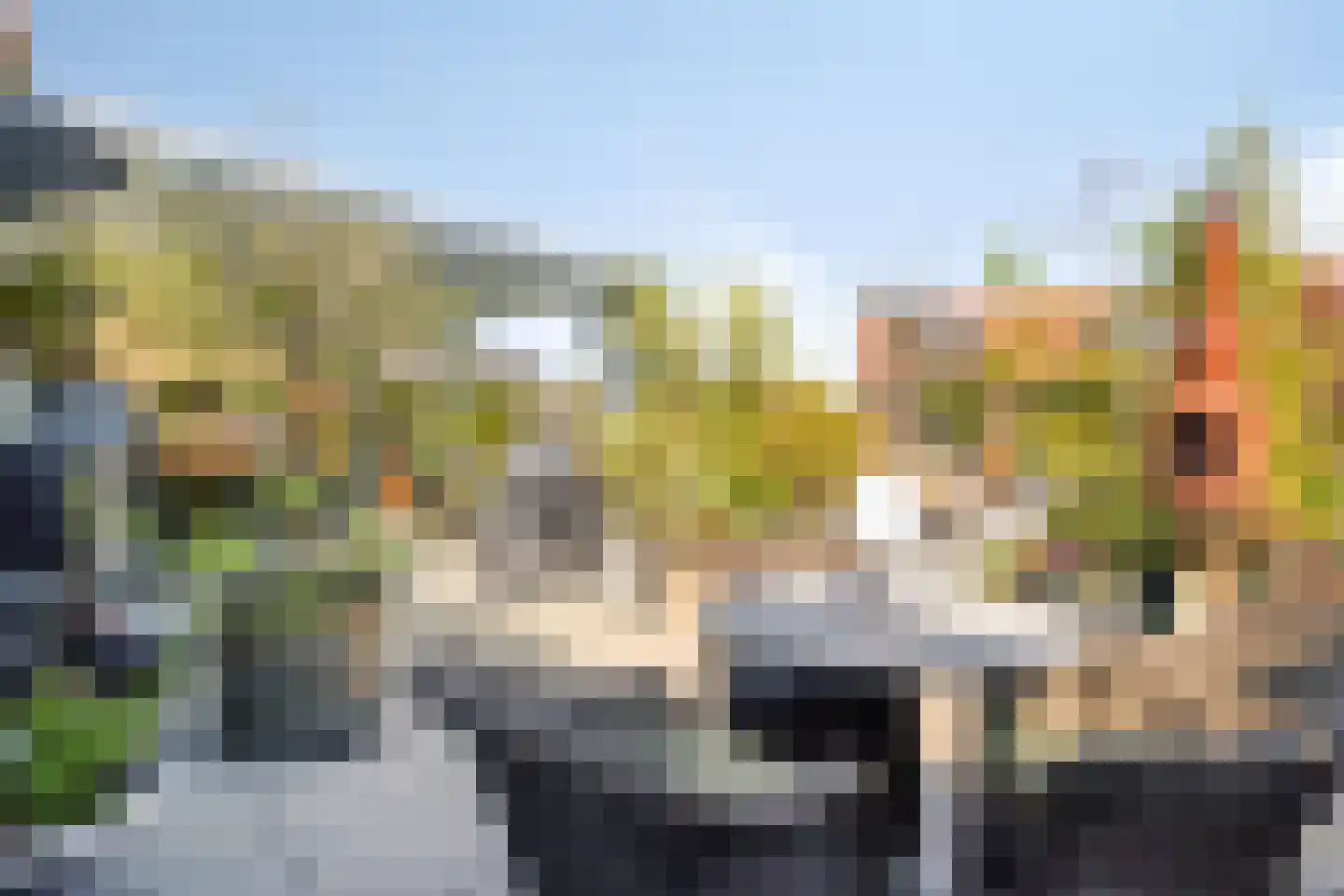 Roostenlaan 61 Eindhoven thumbnail 50