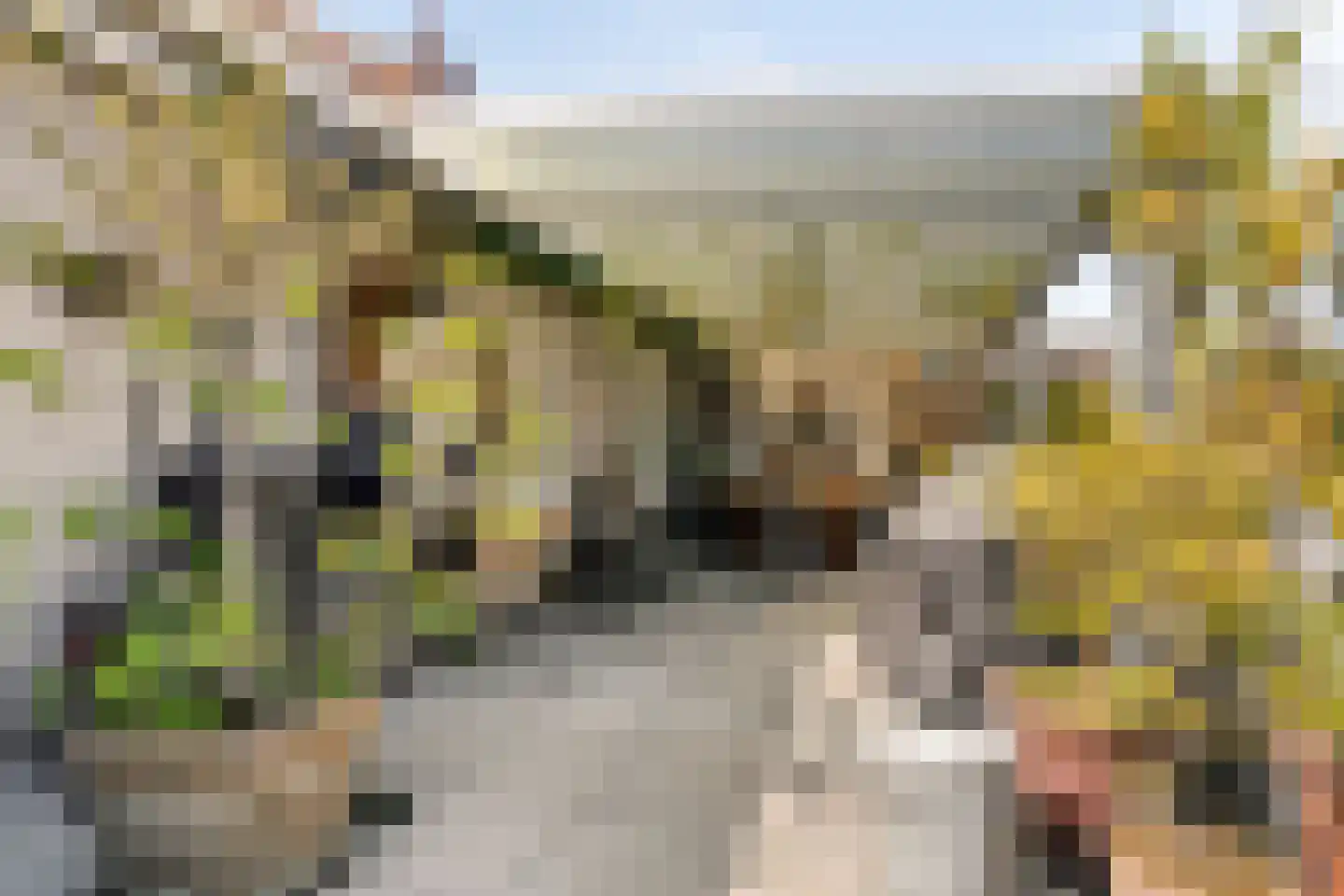 Roostenlaan 61 Eindhoven thumbnail 51