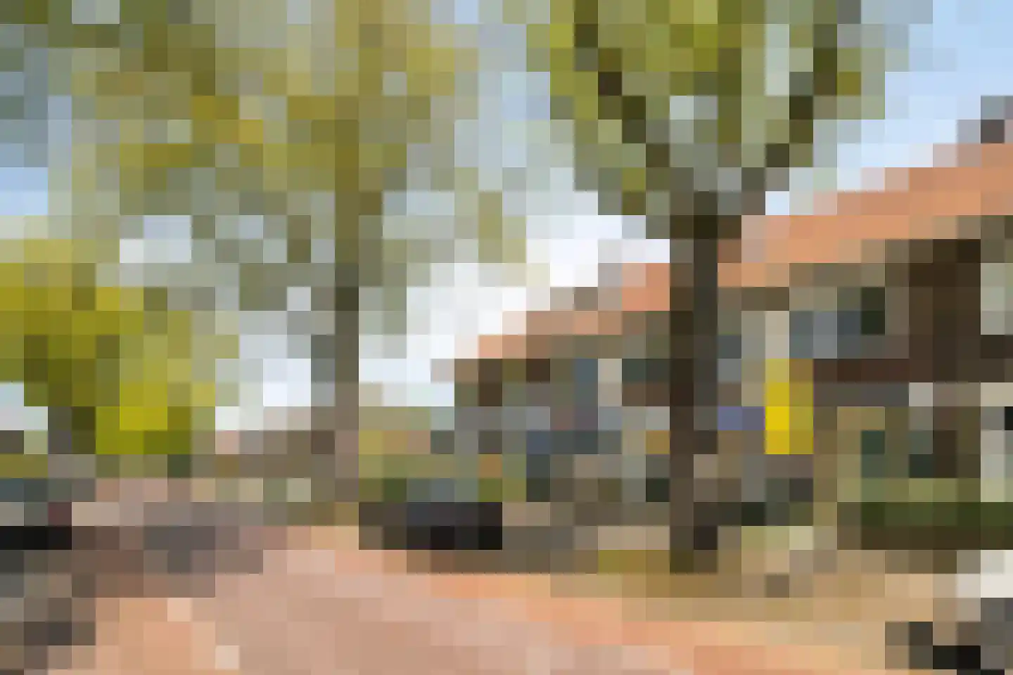 Roostenlaan 61 Eindhoven thumbnail 54