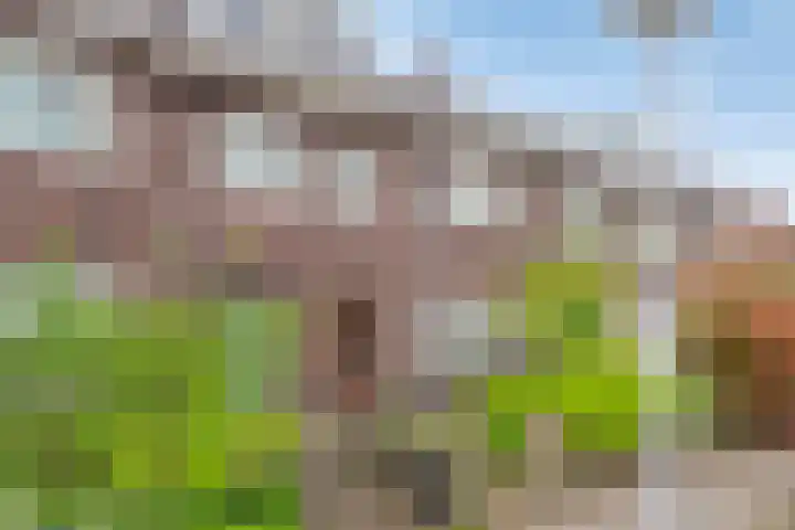 Roostenlaan 9 Eindhoven thumbnail 20
