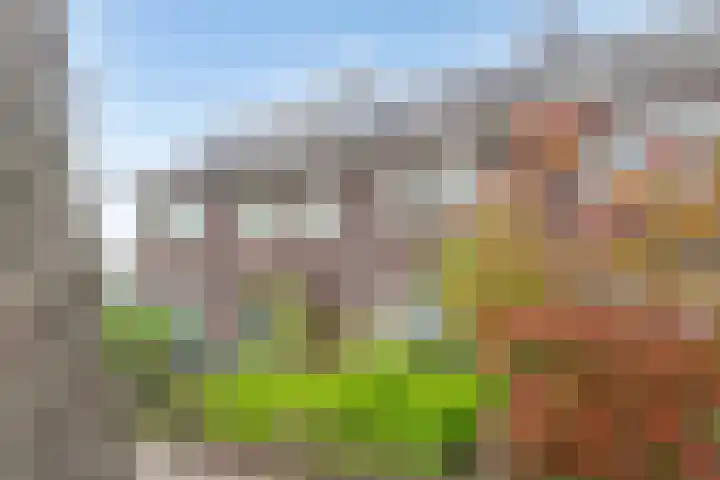 Roostenlaan 9 Eindhoven thumbnail 21