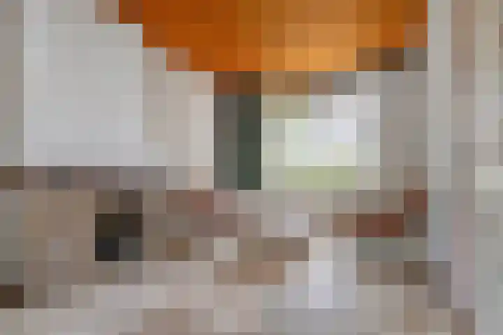 Roostenlaan 9 Eindhoven thumbnail 6