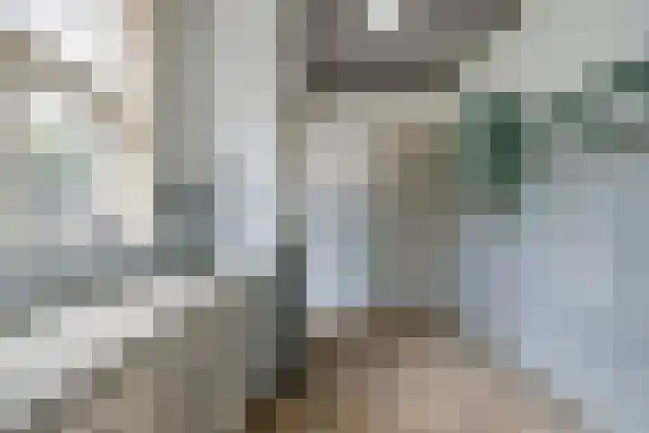 Roostenlaan 9 Eindhoven thumbnail 9