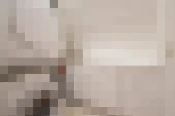 Roosterbos 23 Hoofddorp thumbnail 30