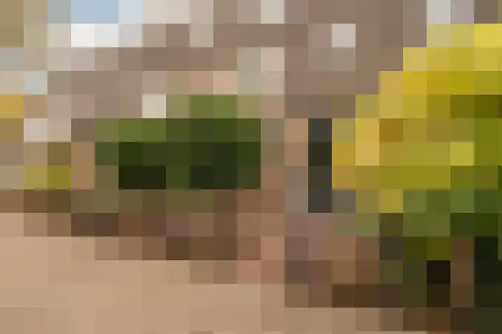 Roosterbos 23 Hoofddorp thumbnail 38