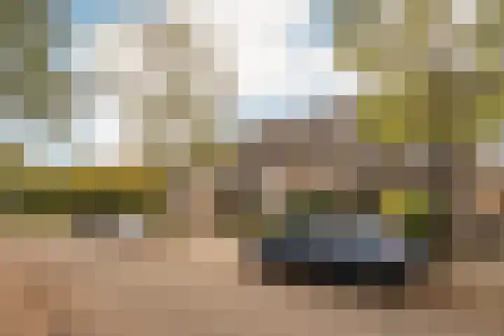 Roosterbos 23 Hoofddorp thumbnail 39