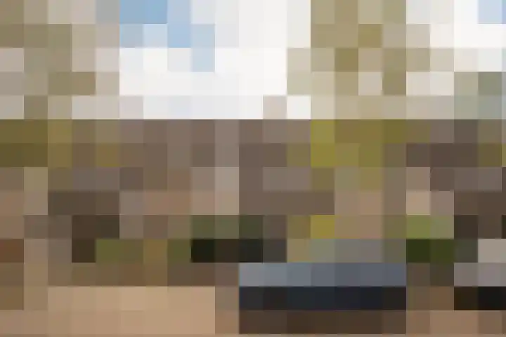 Roosterbos 23 Hoofddorp thumbnail 40