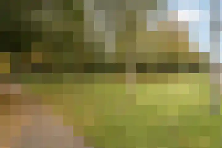 Roosterbos 23 Hoofddorp thumbnail 42