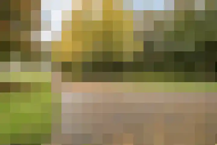 Roosterbos 23 Hoofddorp thumbnail 43