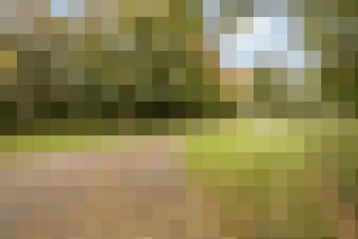 Roosterbos 23 Hoofddorp thumbnail 44