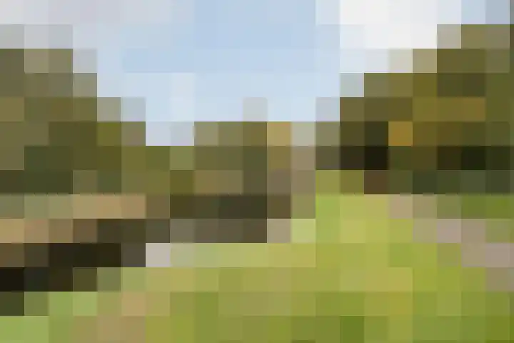 Roosterbos 23 Hoofddorp thumbnail 45