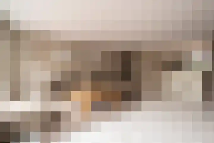 Roosterbos 23 Hoofddorp thumbnail 5