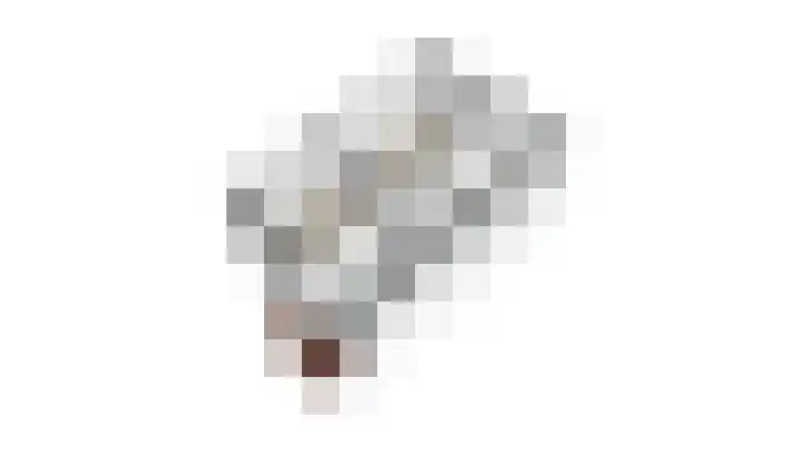 Roosterbos 23 Hoofddorp thumbnail 54