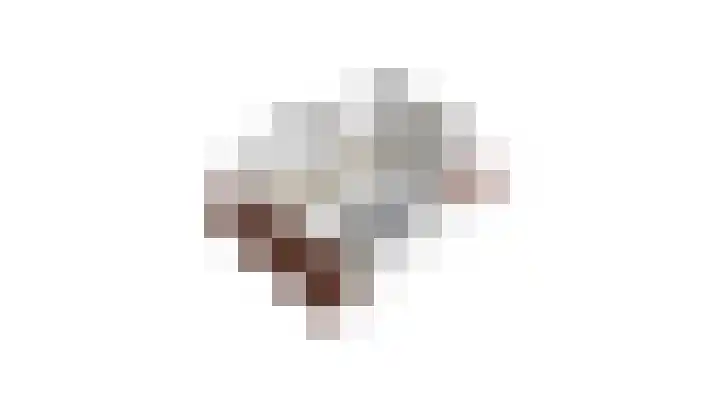 Roosterbos 23 Hoofddorp thumbnail 60