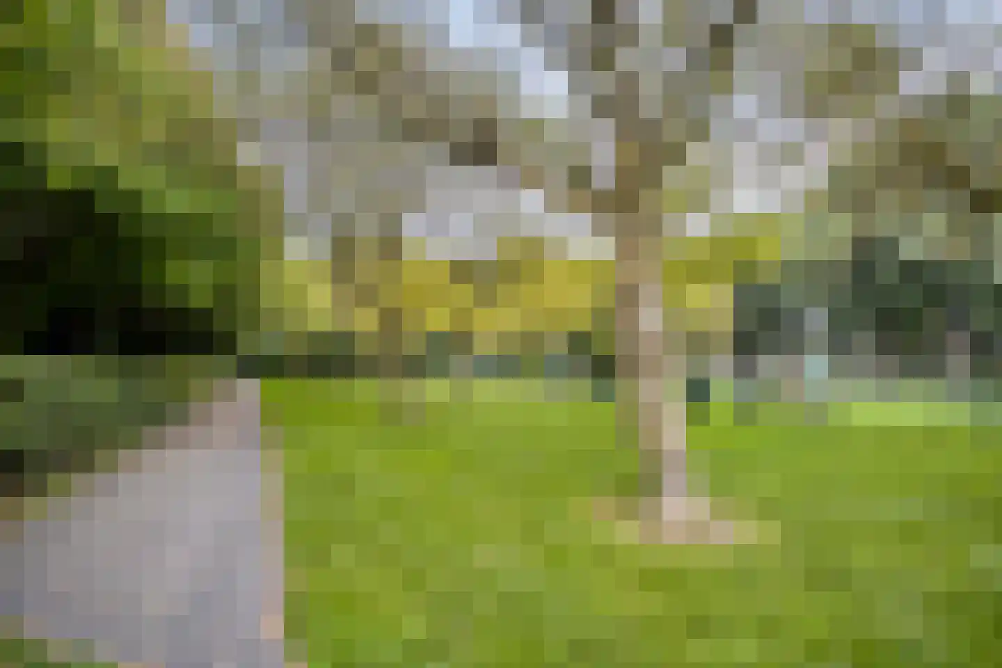 Roosterbos 9 Hoofddorp thumbnail 24