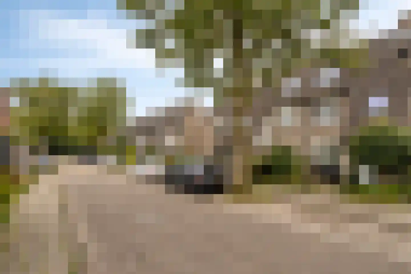 Roosterbos 9 Hoofddorp thumbnail 5
