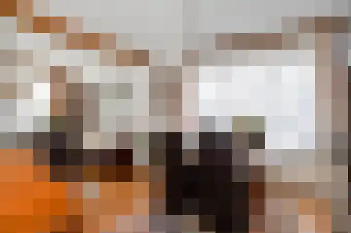 Roosterderweg 20 Susteren thumbnail 10
