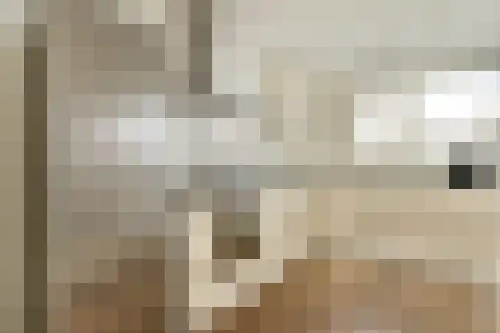 Roosterderweg 20 Susteren thumbnail 13