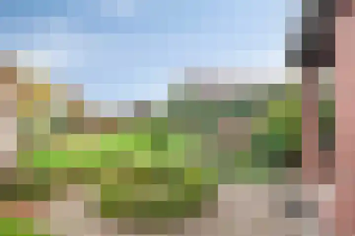 Roosterderweg 20 Susteren thumbnail 19