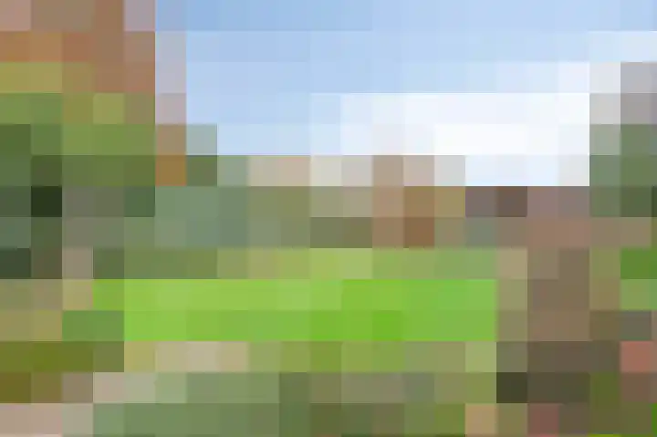 Roosterderweg 20 Susteren thumbnail 20