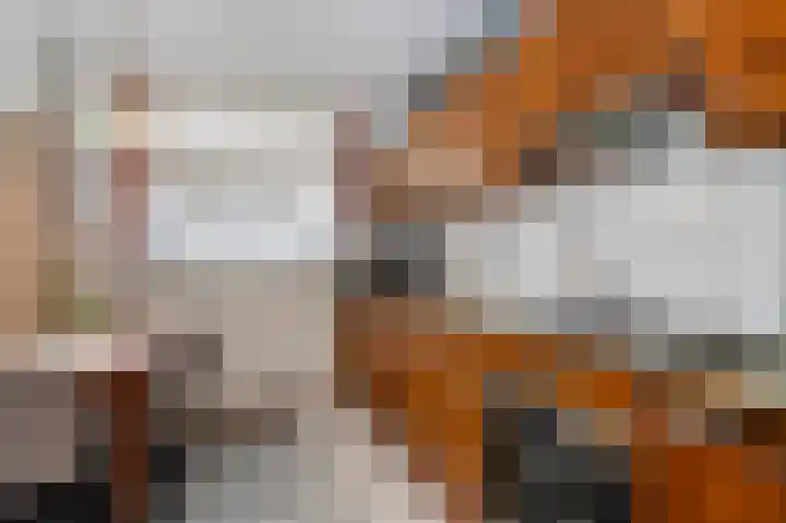 Roosterderweg 20 Susteren thumbnail 9