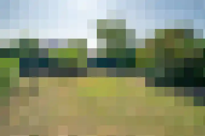 Roosterderweg 25 Susteren thumbnail 27