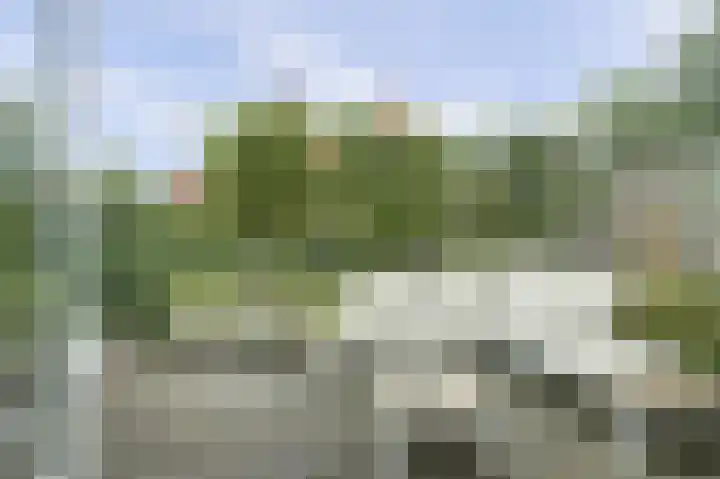 Roosterhout 11 Sint Pancras thumbnail 29