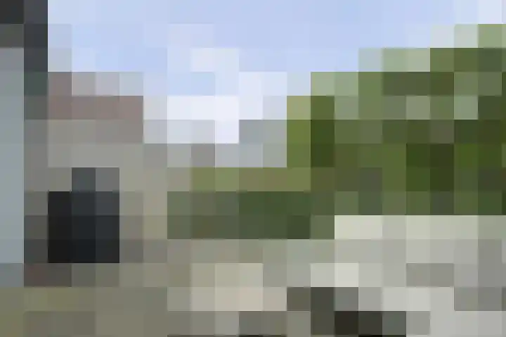 Roosterhout 11 Sint Pancras thumbnail 30