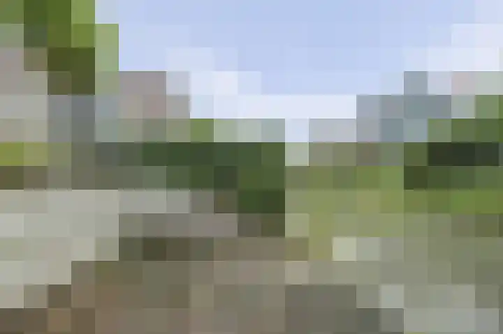 Roosterhout 11 Sint Pancras thumbnail 31