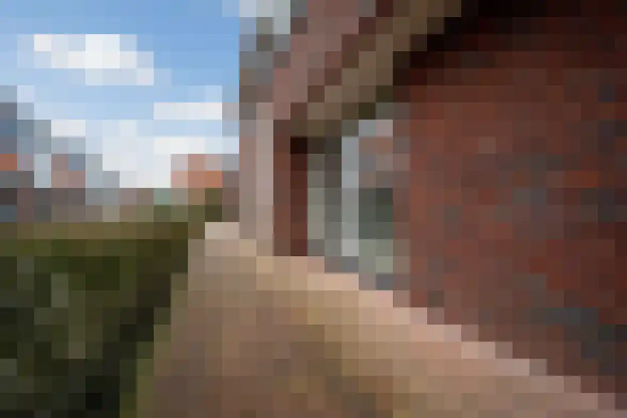 Roosterhout 2 Sint Pancras thumbnail 54