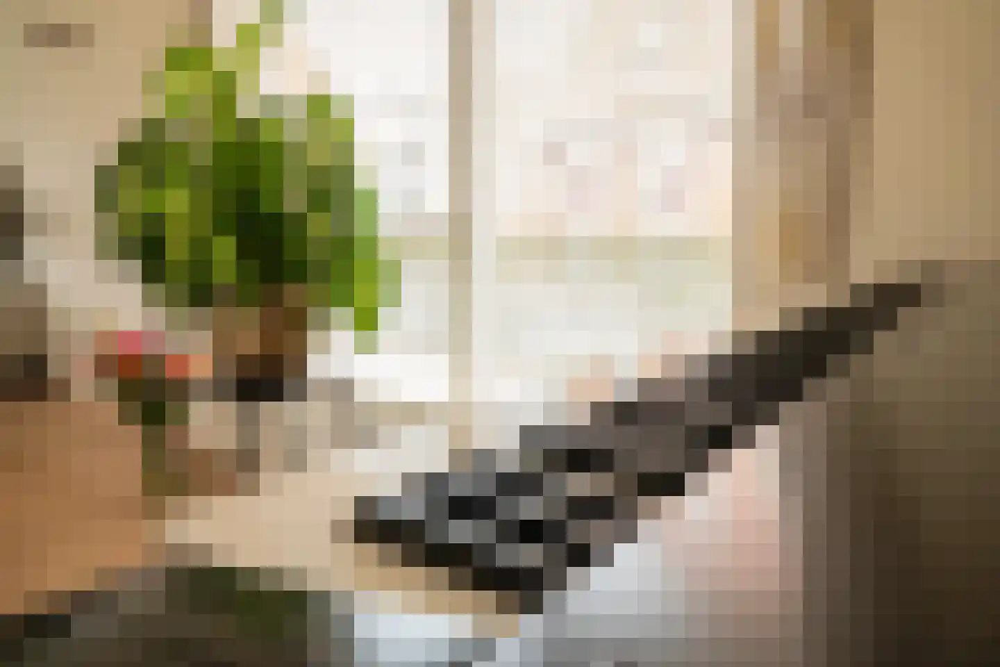 Roosterhout 2 Sint Pancras thumbnail 58